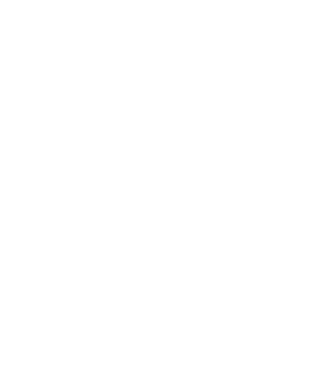 NOP Digital Logo